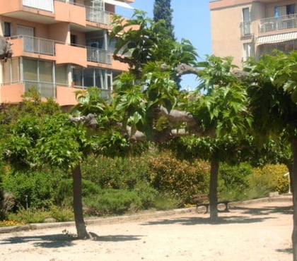 Appartements meublés Frejus Var - Photos Vivastreet location meublé a l'année