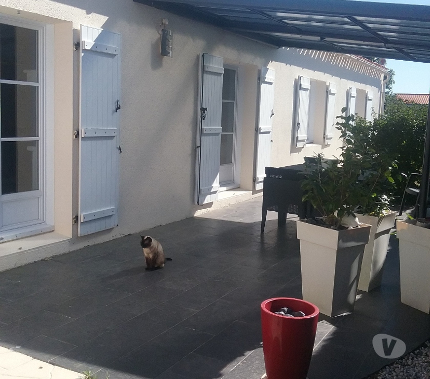 Vente Maison Vendée Ste Foy - 85150 - Photos Vivastreet MAISON DE PLAIN-PIED AVEC PISCINE