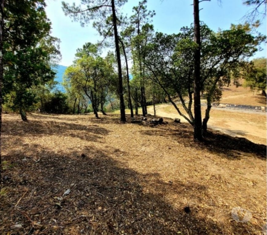 Terrain à vendre Var Collobrieres - 83610 - Photos Vivastreet Terrain loisir très belle vue