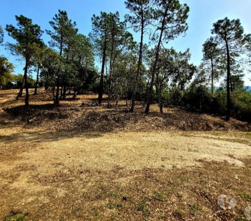 Terrain à vendre Var Collobrieres - 83610 - Photos Vivastreet Terrain loisir très belle vue