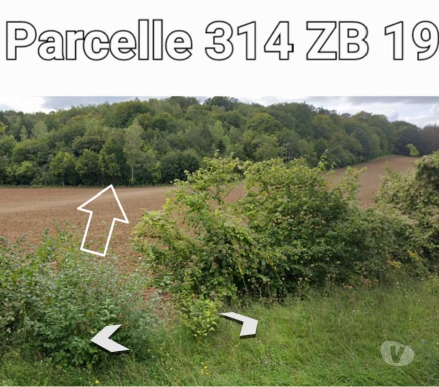 Terrain à vendre Meuse Chonville Malaumont - Photos Vivastreet Terrain loisir boisé