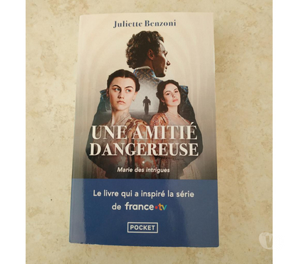 Livres Ardoix Ardèche - Photos Vivastreet Livre Une amitié dangereuse Tome 1 (Neuf)