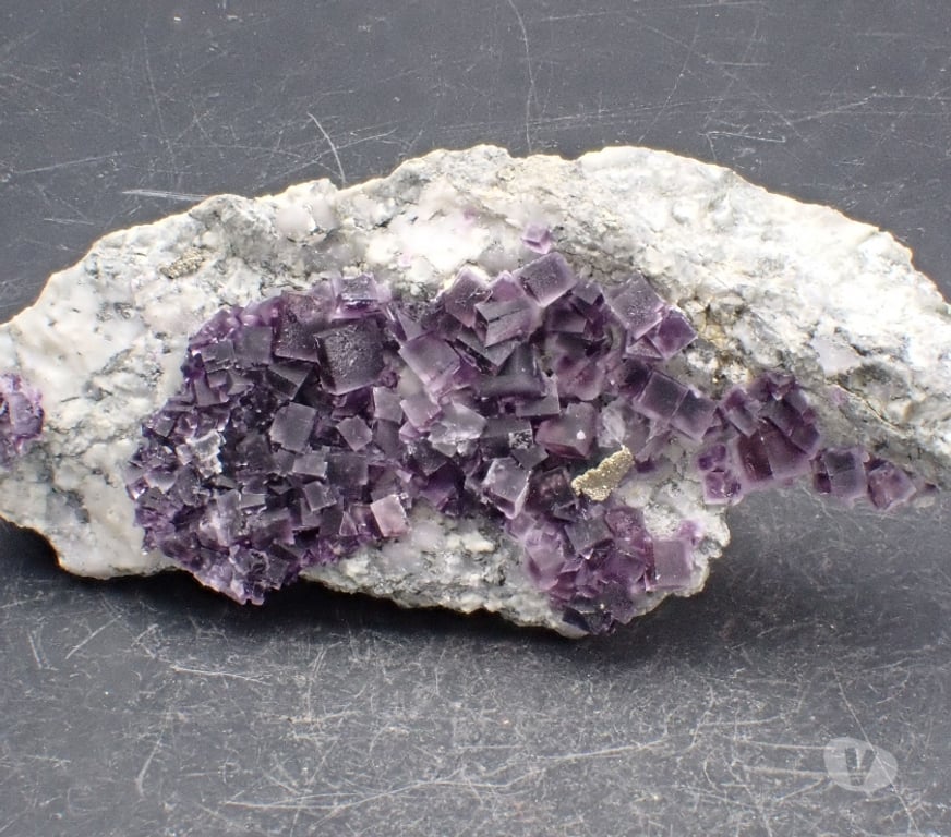 Collection Meurthe-et-Moselle Bertrichamps - 54120 - Photos Vivastreet Fluorite & Pyrite , Saint-Peray , Ardèche , France