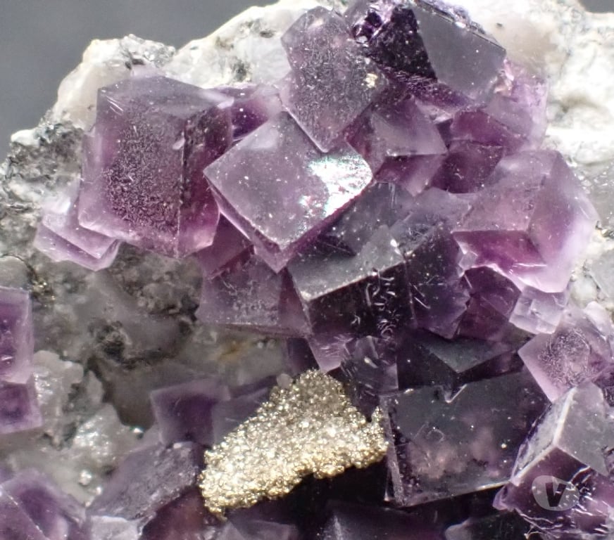 Collection Meurthe-et-Moselle Bertrichamps - 54120 - Photos Vivastreet Fluorite & Pyrite , Saint-Peray , Ardèche , France
