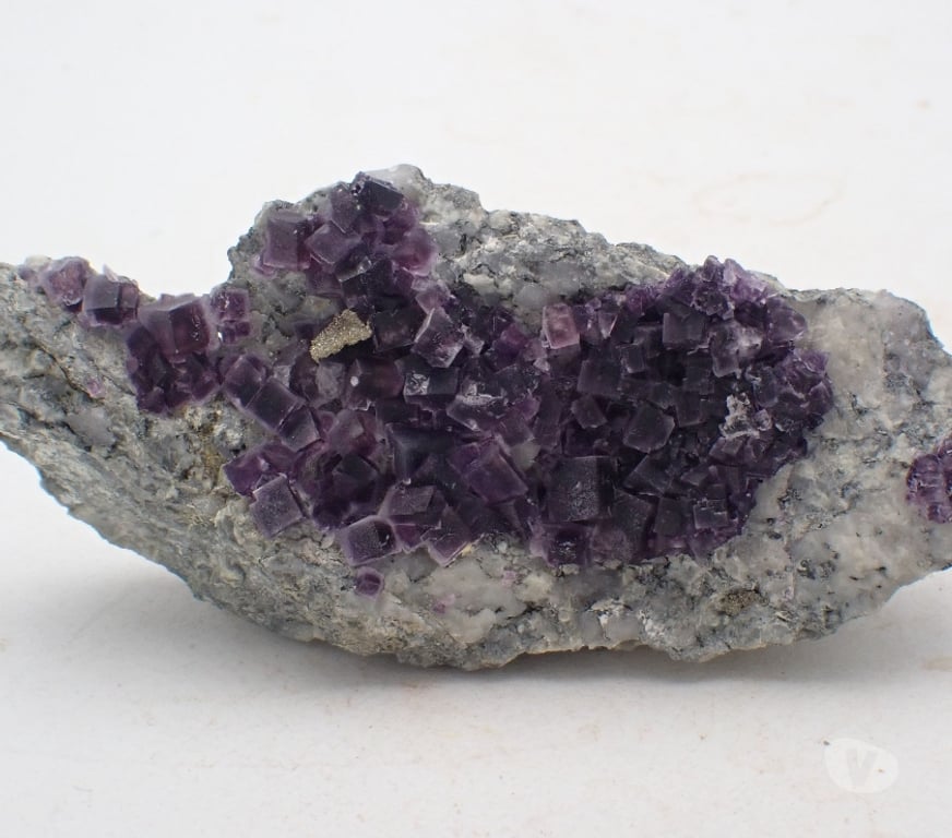 Collection Meurthe-et-Moselle Bertrichamps - 54120 - Photos Vivastreet Fluorite & Pyrite , Saint-Peray , Ardèche , France