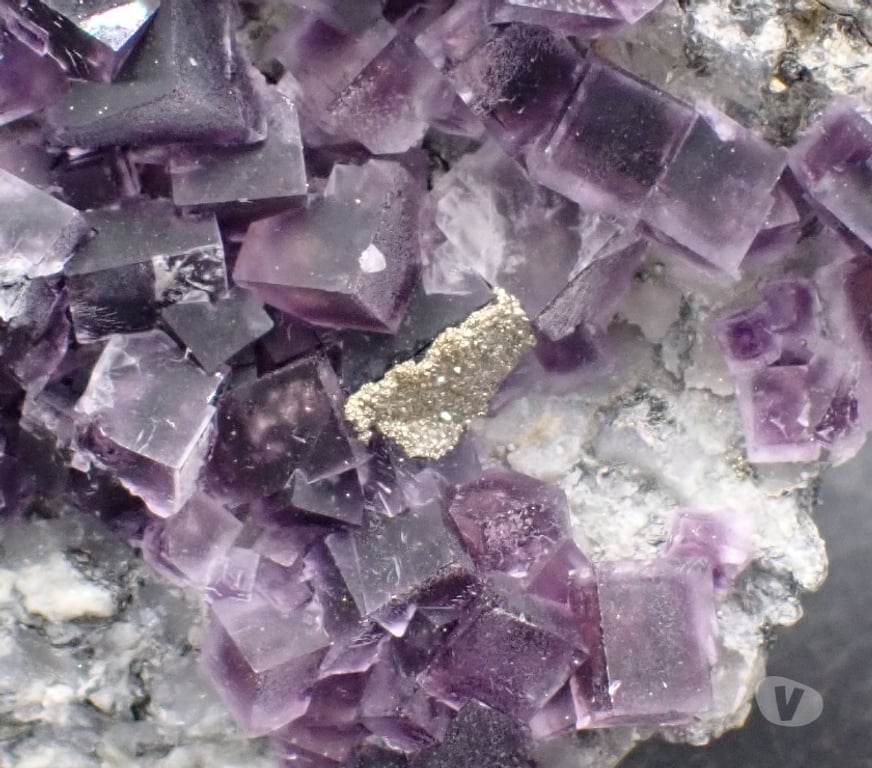 Collection Meurthe-et-Moselle Bertrichamps - 54120 - Photos Vivastreet Fluorite & Pyrite , Saint-Peray , Ardèche , France