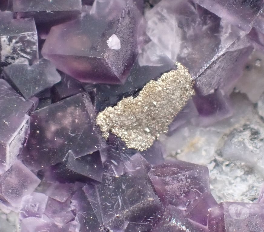 Collection Meurthe-et-Moselle Bertrichamps - 54120 - Photos Vivastreet Fluorite & Pyrite , Saint-Peray , Ardèche , France