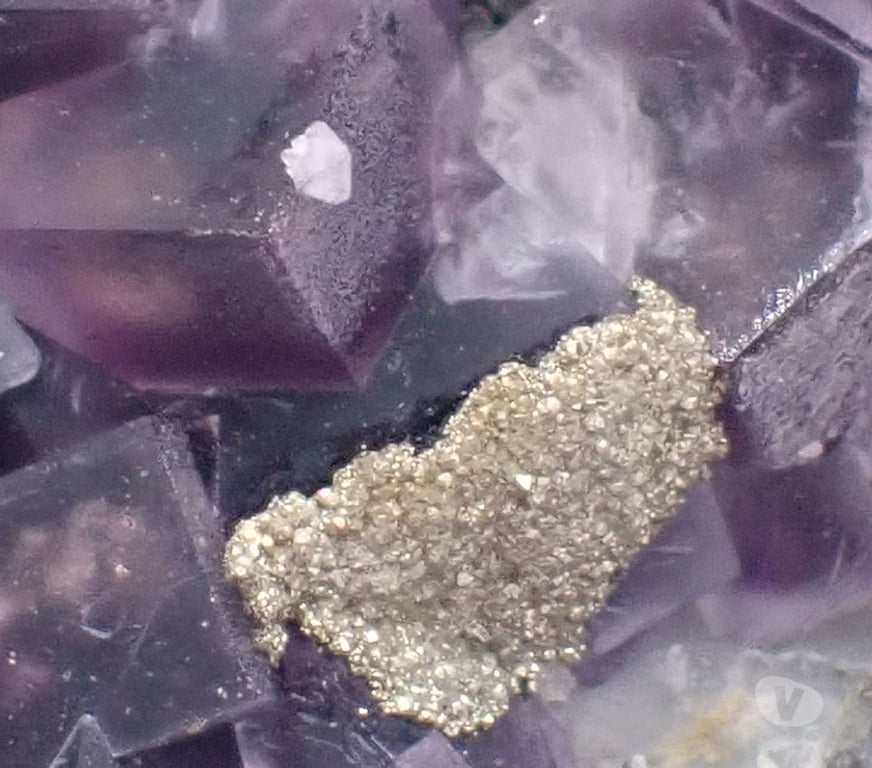 Collection Meurthe-et-Moselle Bertrichamps - 54120 - Photos Vivastreet Fluorite & Pyrite , Saint-Peray , Ardèche , France