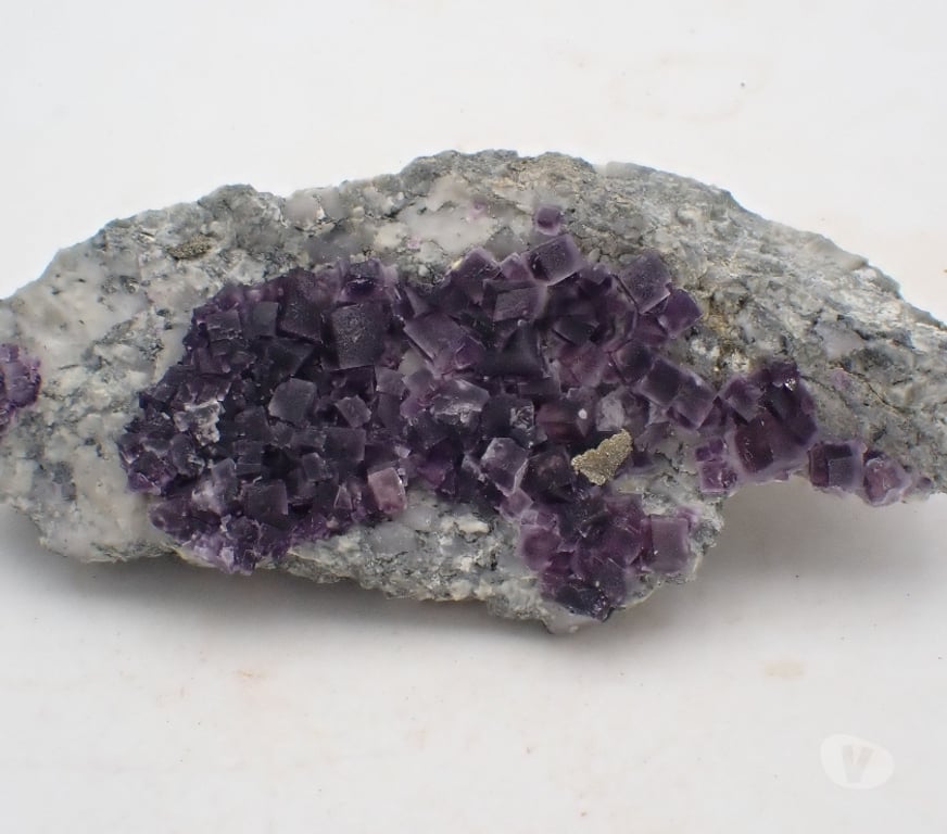 Collection Meurthe-et-Moselle Bertrichamps - 54120 - Photos Vivastreet Fluorite & Pyrite , Saint-Peray , Ardèche , France