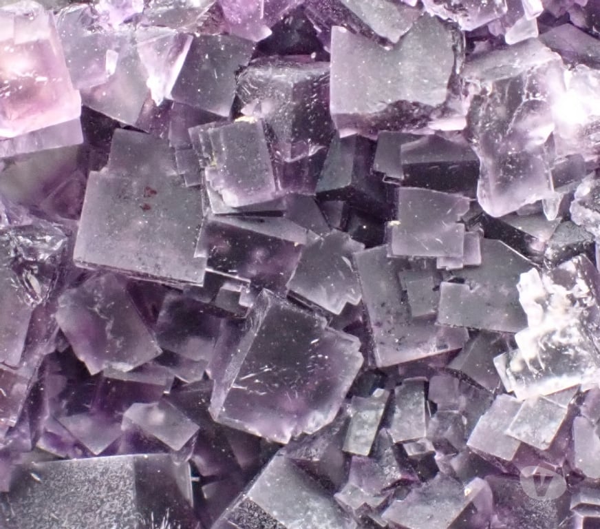 Collection Meurthe-et-Moselle Bertrichamps - 54120 - Photos Vivastreet Fluorite & Pyrite , Saint-Peray , Ardèche , France