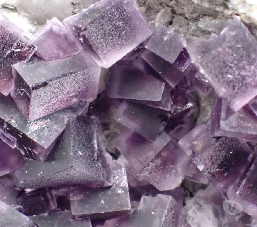 Collection Meurthe-et-Moselle Bertrichamps - 54120 - Photos Vivastreet Fluorite & Pyrite , Saint-Peray , Ardèche , France