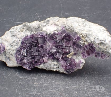 Collections Bertrichamps Meurthe-et-Moselle - Photos Vivastreet Fluorite & Pyrite , Saint-Peray , Ardèche , France