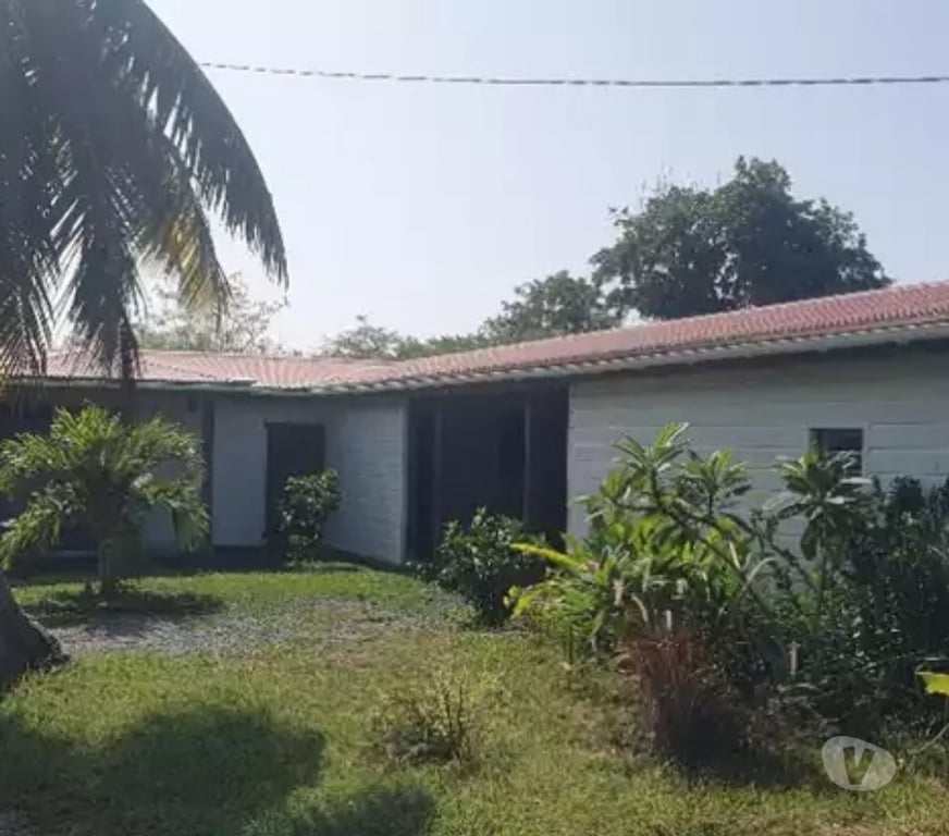 Vente Maison Guadeloupe Saint Louis - 97134 - Photos Vivastreet COMPLEXE IMMOBILIER MAISON ET 3 BUNGALOWS