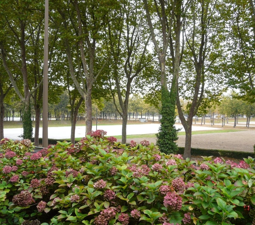 Location maison Somme Amiens - Photos Vivastreet maison de ville
