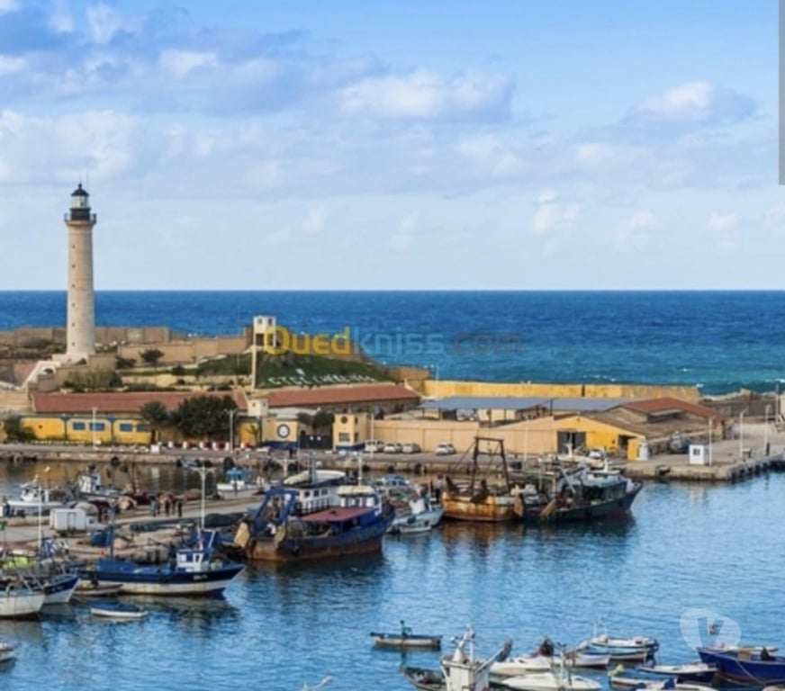 Terrain à vendre Algérie - Photos Vivastreet Terrain 333 M2 cherchell Algérie