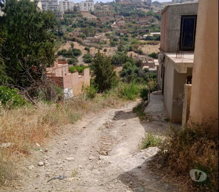 Terrain à vendre Algérie - Photos Vivastreet Terrain 333 M2 cherchell Algérie