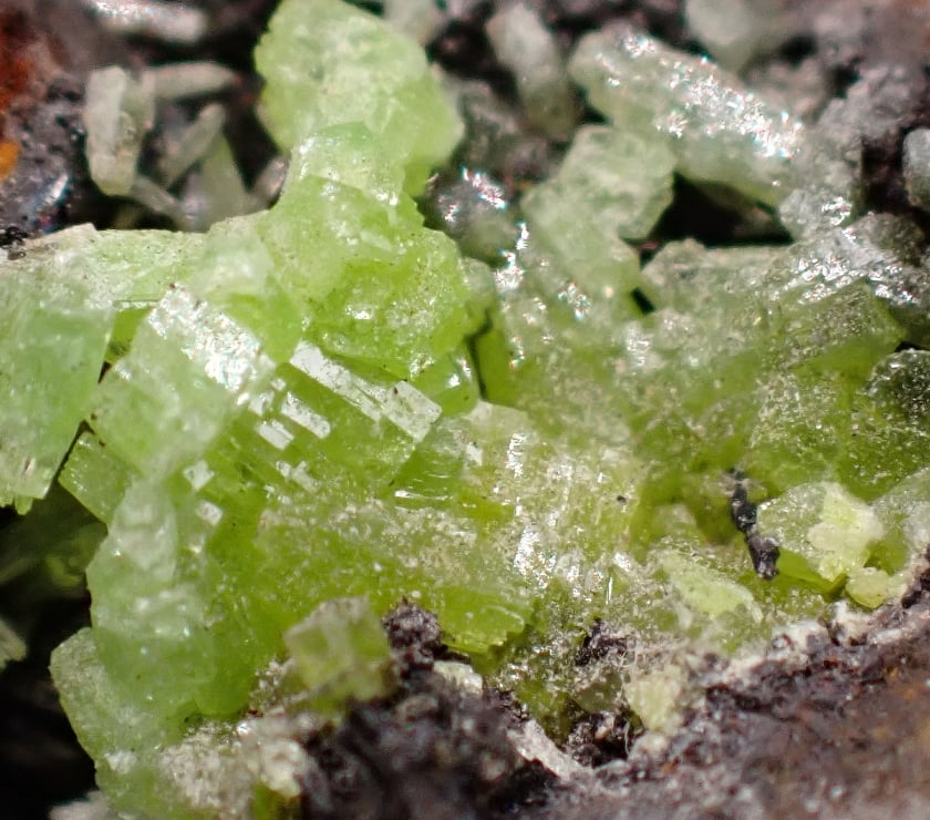 Collections Bertrichamps Meurthe-et-Moselle - Photos Vivastreet Pyromorphite , Sainte-Marguerite-Lafigère , Ardèche