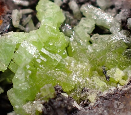 Collections Bertrichamps Meurthe-et-Moselle - Photos Vivastreet Pyromorphite , Sainte-Marguerite-Lafigère , Ardèche