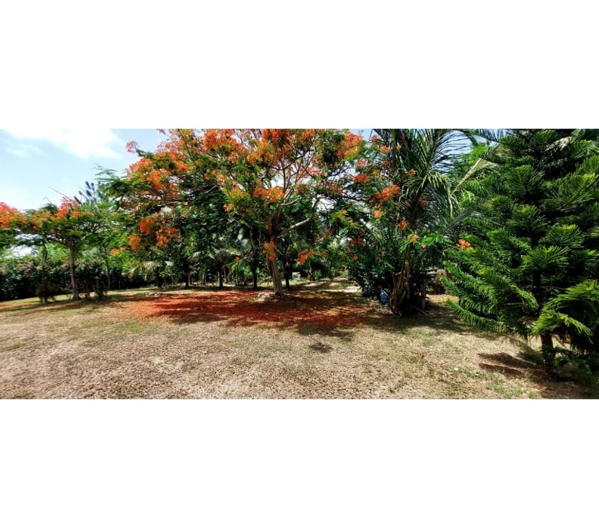 Vente Maison République dominicaine - Photos Vivastreet Cabrera: Maison 2 niveaux proche plages, terrain 4 900 m²