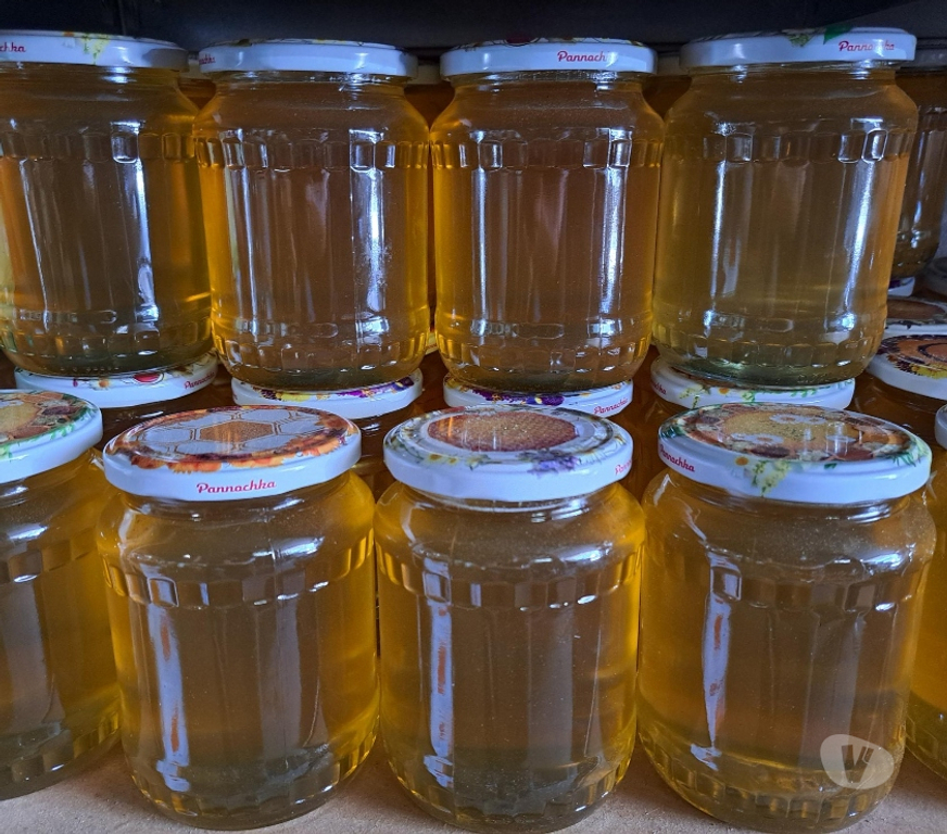 Vins - Gastronomie Seine-et-Marne Esbly - 77450 - Photos Vivastreet MIEL D’ACACIA – POTS 1 KG