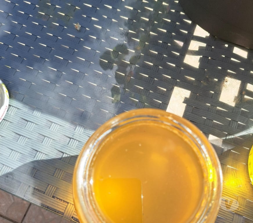 Vins - Gastronomie Seine-et-Marne Esbly - 77450 - Photos Vivastreet MIEL D’ACACIA – POTS 1 KG