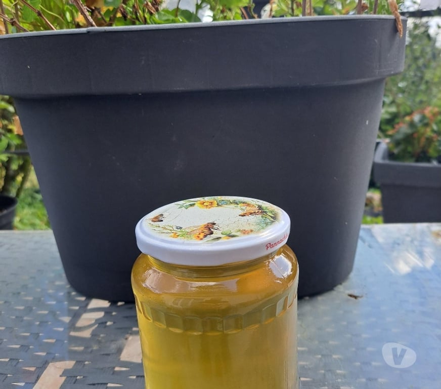 Vins - Gastronomie Seine-et-Marne Esbly - 77450 - Photos Vivastreet MIEL D’ACACIA – POTS 1 KG