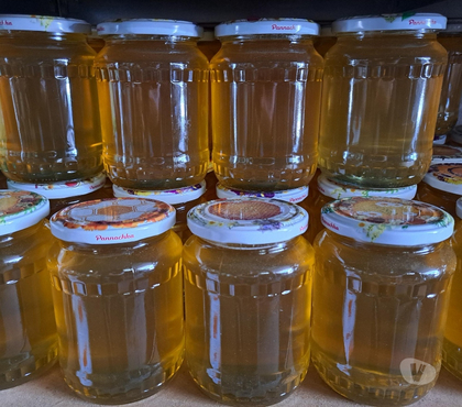 Vins - Gastronomie Esbly Seine-et-Marne - Photos Vivastreet MIEL D’ACACIA – POTS 1 KG