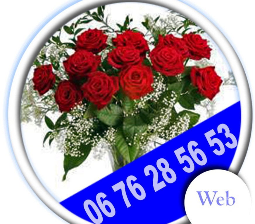 Dépannage ordi Mac / PC / portable Paris Paris 11ème ardt - 75011 - Photos Vivastreet Site Internet, PAO, Photo, Vidéo, cinéma, DVD, 3D, IA