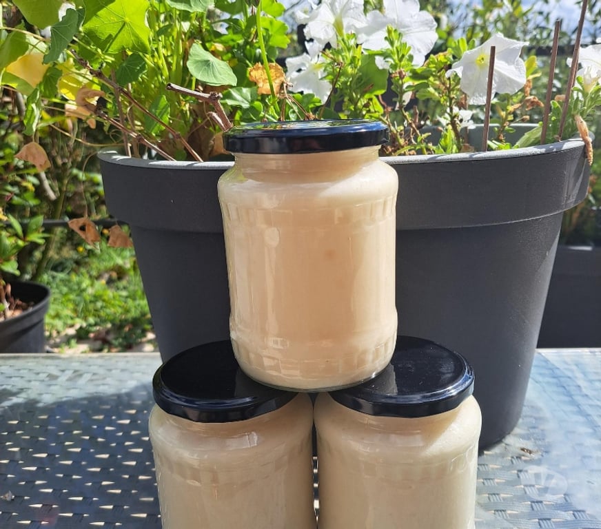 Vins - Gastronomie Seine-et-Marne Esbly - 77450 - Photos Vivastreet MIEL COLZA – POTS 1 KG