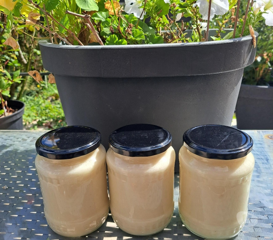 Vins - Gastronomie Seine-et-Marne Esbly - 77450 - Photos Vivastreet MIEL COLZA – POTS 1 KG