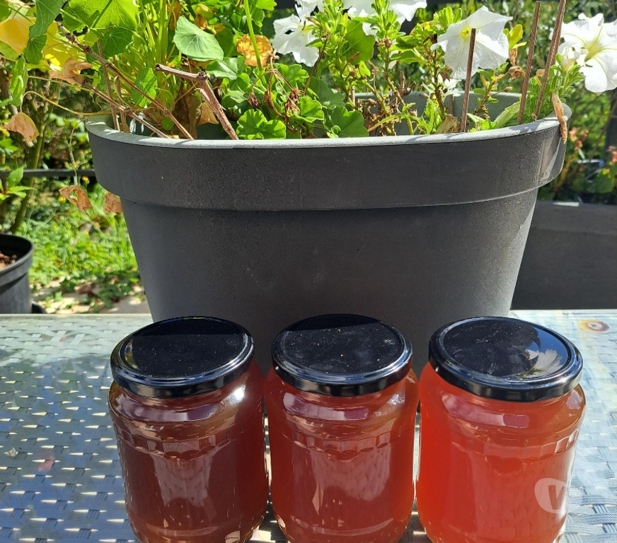 Vins - Gastronomie Seine-et-Marne Esbly - 77450 - Photos Vivastreet MIEL D’AMORPHE, FRAMBOISIER, MIELLAT DE FORET