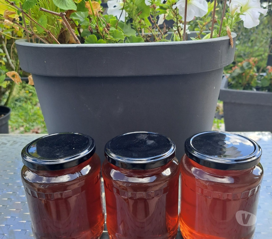 Vins - Gastronomie Seine-et-Marne Esbly - 77450 - Photos Vivastreet MIEL D’AMORPHE, FRAMBOISIER, MIELLAT DE FORET