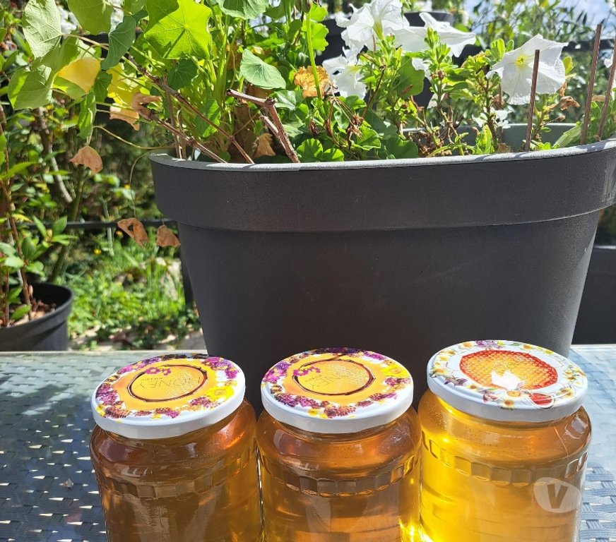 Vins - Gastronomie Seine-et-Marne Esbly - 77450 - Photos Vivastreet MIEL D’AMORPHE, FRAMBOISIER, MIELLAT DE FORET