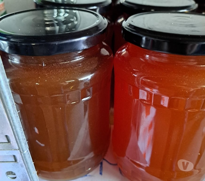 Vins - Gastronomie Seine-et-Marne Esbly - 77450 - Photos Vivastreet MIEL D’AMORPHE, FRAMBOISIER, MIELLAT DE FORET