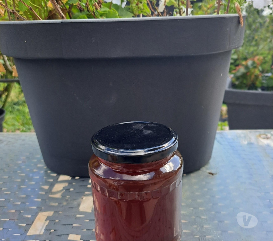 Vins - Gastronomie Seine-et-Marne Esbly - 77450 - Photos Vivastreet MIEL D’AMORPHE, FRAMBOISIER, MIELLAT DE FORET