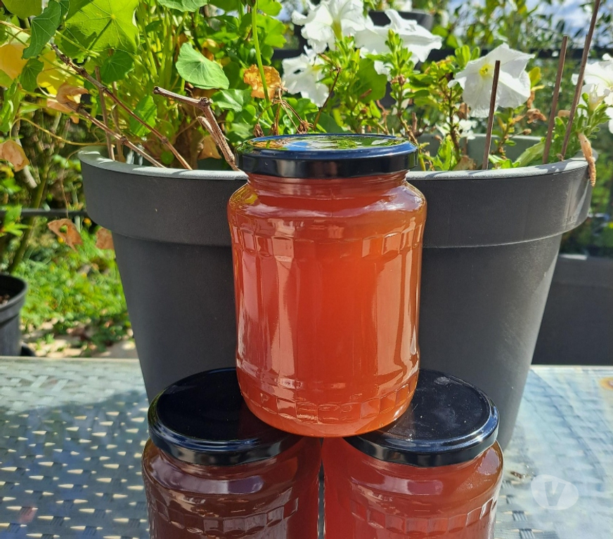 Vins - Gastronomie Seine-et-Marne Esbly - 77450 - Photos Vivastreet MIEL D’AMORPHE, FRAMBOISIER, MIELLAT DE FORET