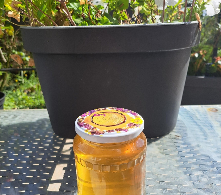 Vins - Gastronomie Seine-et-Marne Esbly - 77450 - Photos Vivastreet MIEL D’AMORPHE, FRAMBOISIER, MIELLAT DE FORET