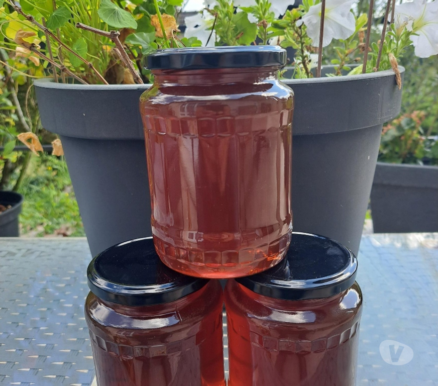 Vins - Gastronomie Seine-et-Marne Esbly - 77450 - Photos Vivastreet MIEL D’AMORPHE, FRAMBOISIER, MIELLAT DE FORET