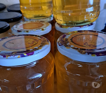 Vins - Gastronomie Esbly Seine-et-Marne - Photos Vivastreet MIEL D’AMORPHE, FRAMBOISIER, MIELLAT DE FORET