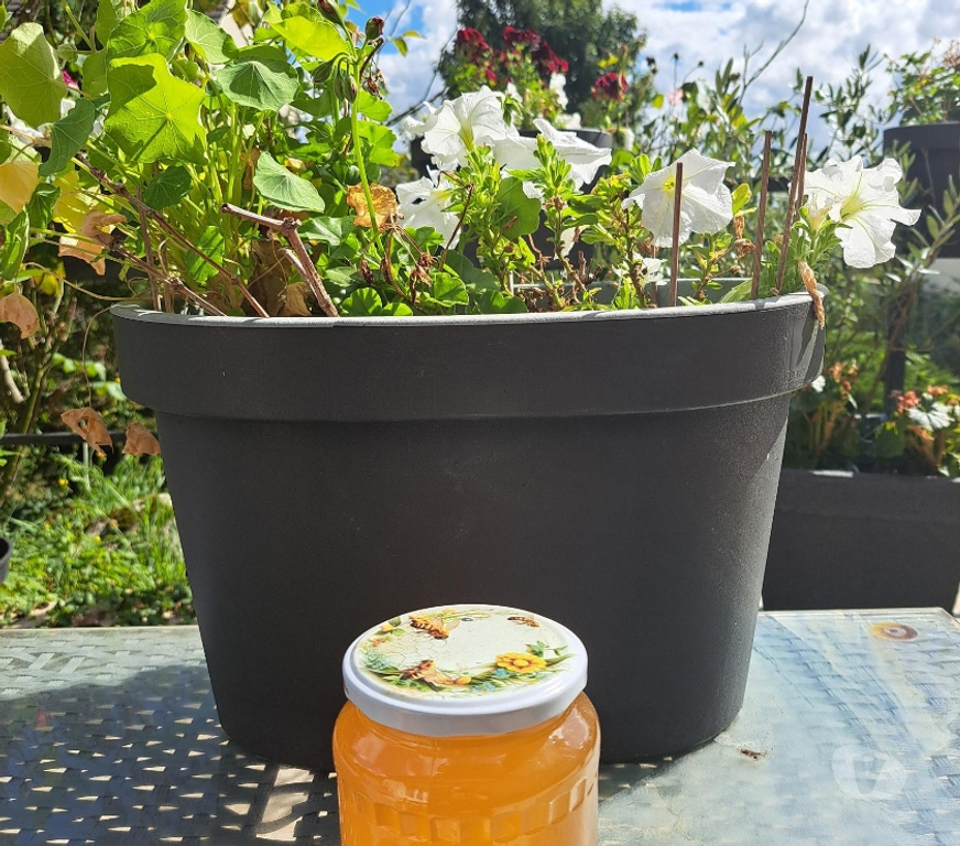 Vins - Gastronomie Seine-et-Marne Esbly - 77450 - Photos Vivastreet MIEL DE TILLEUL – POTS 1 KG