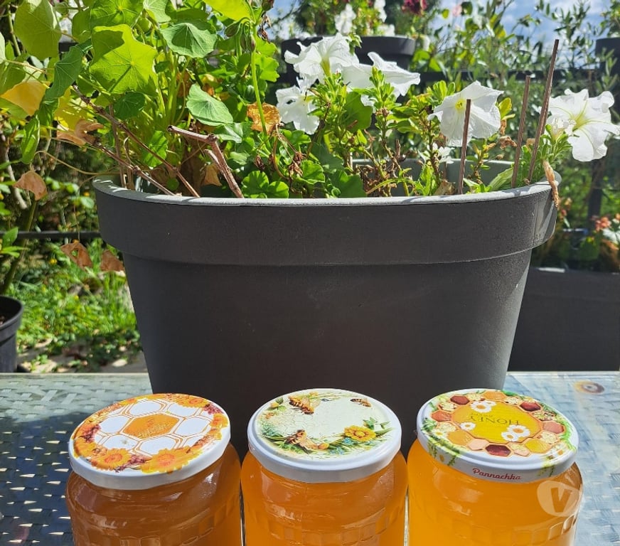 Vins - Gastronomie Seine-et-Marne Esbly - 77450 - Photos Vivastreet MIEL DE TILLEUL – POTS 1 KG