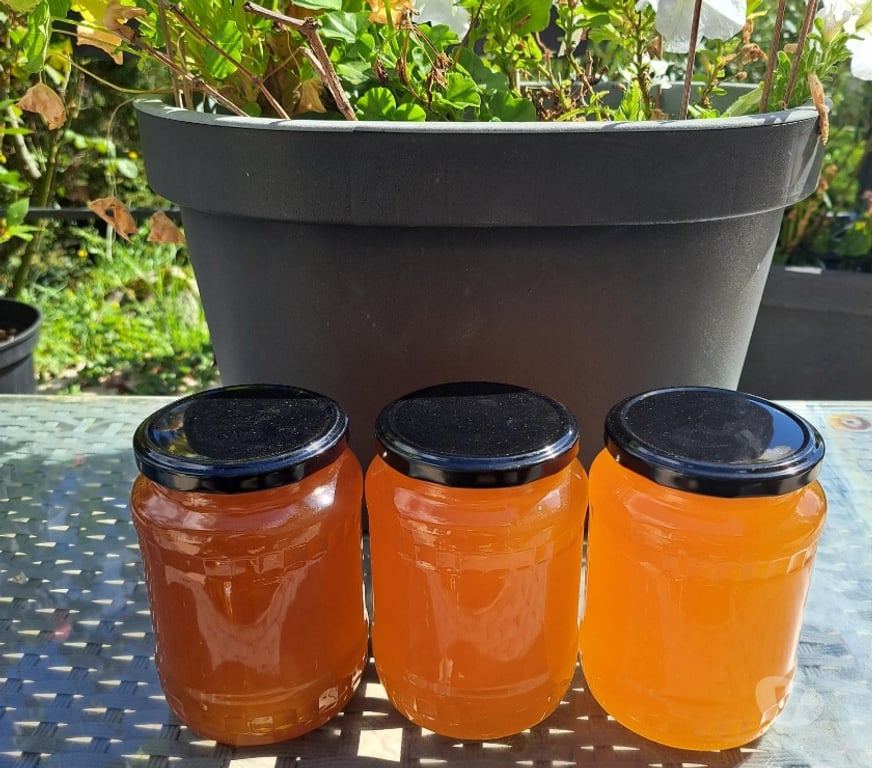 Vins - Gastronomie Seine-et-Marne Esbly - 77450 - Photos Vivastreet MIEL FLEURS D'ÉTÉ – POTS 1 KG