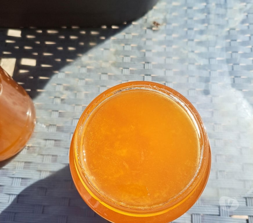 Vins - Gastronomie Seine-et-Marne Esbly - 77450 - Photos Vivastreet MIEL FLEURS D'ÉTÉ – POTS 1 KG