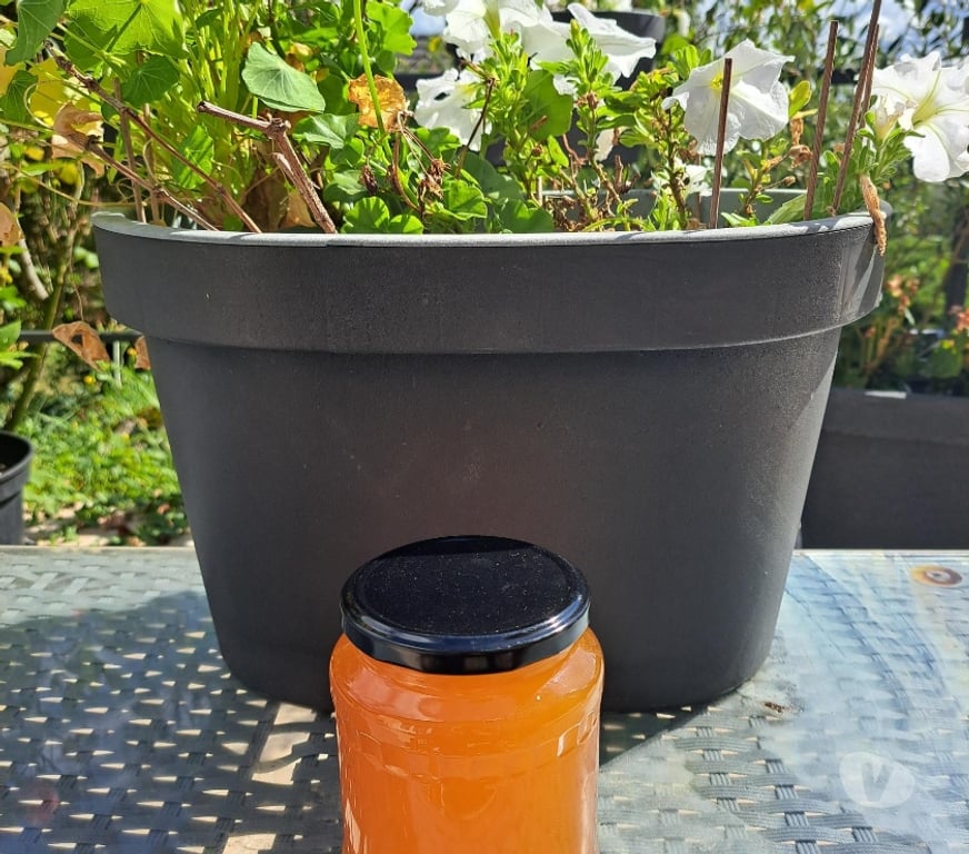 Vins - Gastronomie Seine-et-Marne Esbly - 77450 - Photos Vivastreet MIEL FLEURS D'ÉTÉ – POTS 1 KG