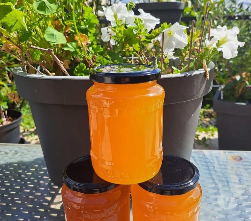 Vins - Gastronomie Seine-et-Marne Esbly - 77450 - Photos Vivastreet MIEL FLEURS D'ÉTÉ – POTS 1 KG