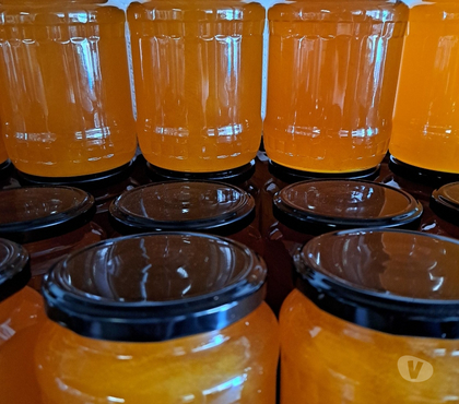 Vins - Gastronomie Esbly Seine-et-Marne - Photos Vivastreet MIEL FLEURS D'ÉTÉ – POTS 1 KG