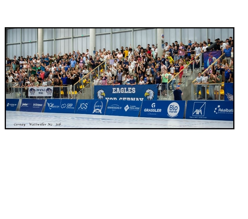Evenements sportifs Haut-Rhin Cernay - 68700 - Photos Vivastreet 2 places pour Cernay Wattwiller Handball vs Metz ce soir