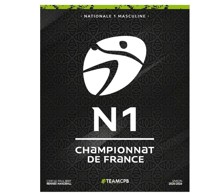 Evenements sportifs Haut-Rhin Cernay - 68700 - Photos Vivastreet 2 places pour Cernay Wattwiller Handball vs Metz ce soir