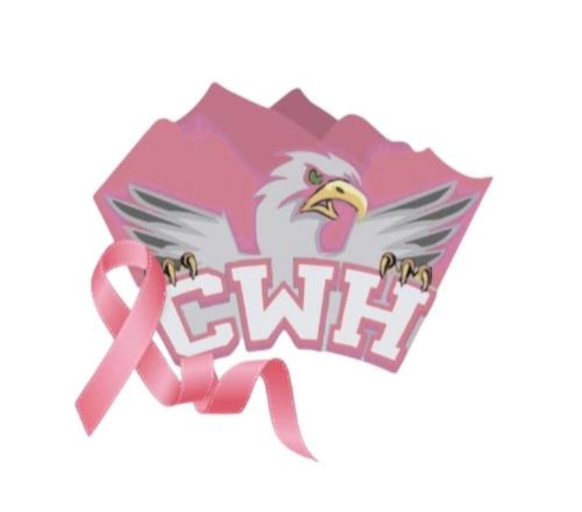 Evenements sportifs Haut-Rhin Cernay - 68700 - Photos Vivastreet 2 places pour Cernay Wattwiller Handball vs Metz ce soir