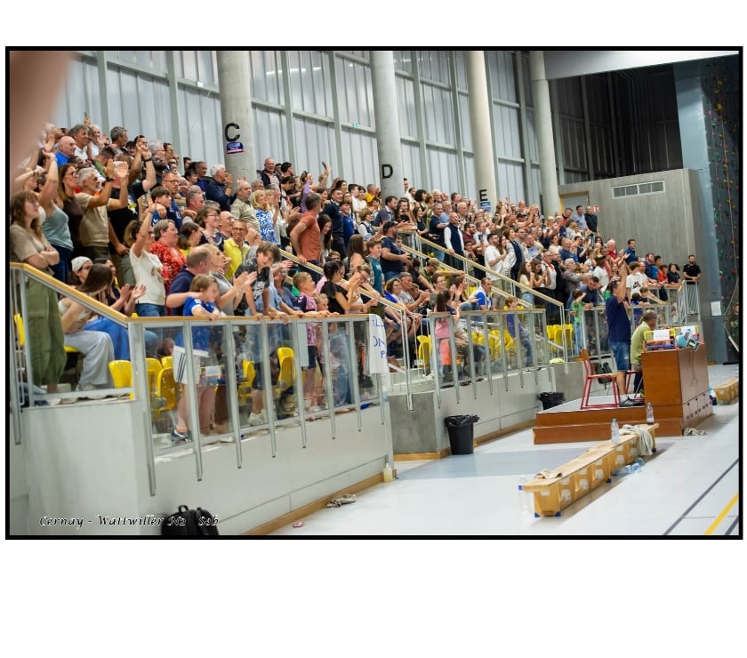 Evenements sportifs Haut-Rhin Cernay - 68700 - Photos Vivastreet 2 places pour Cernay Wattwiller Handball vs Metz ce soir